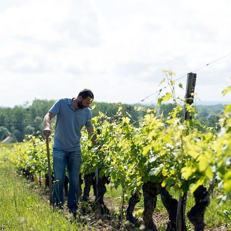 Interview quelle est la spécificité du Bourgueil