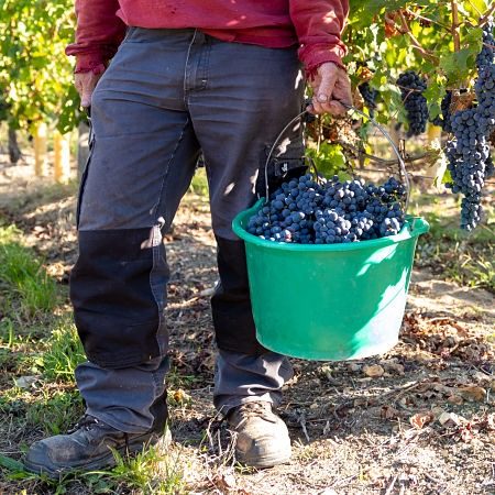 Bio Bourgueil