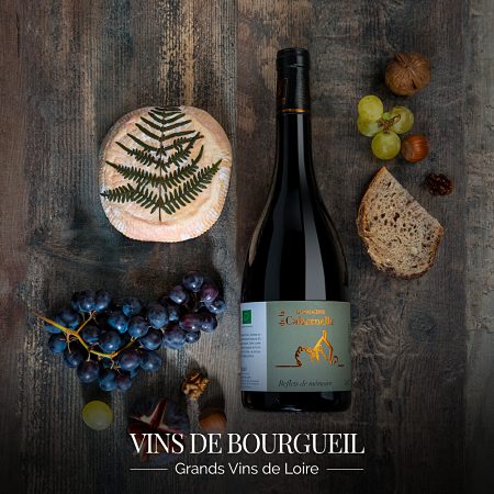 Vins Bourgueil fromage