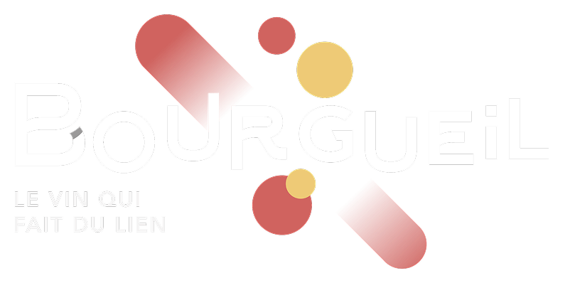 Vins de Bourgueil