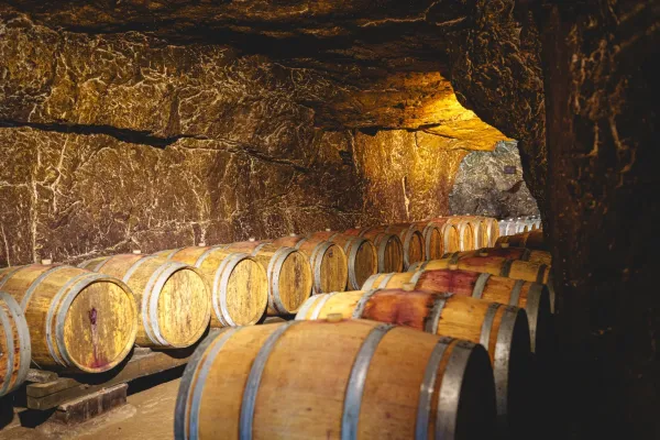 Cave vins Bourgueil fûts chêne
