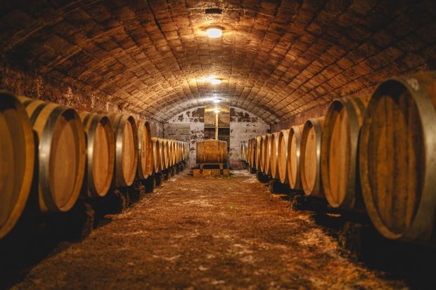 Cave creusée dans le tuffeau et fûts de chêne à Bourgueil