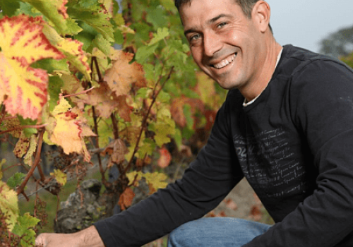 Domaine de la Grioche