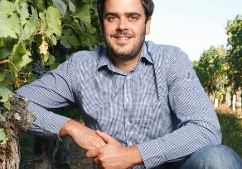 Domaine Olivier