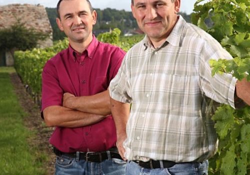 Vignoble de la Roseraie