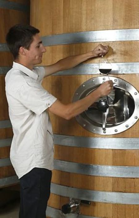 Alexis Boucard, vigneron de l'AOC Bourgueil