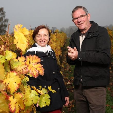 Domaine des Vienais
