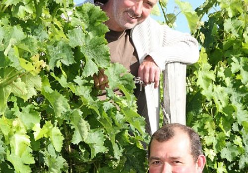Domaine les Pins