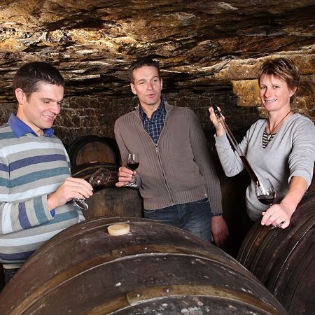 Domaine de la Cabernelle