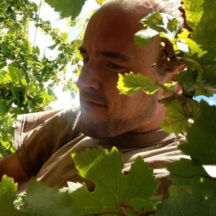 Domaine Pierre Borel