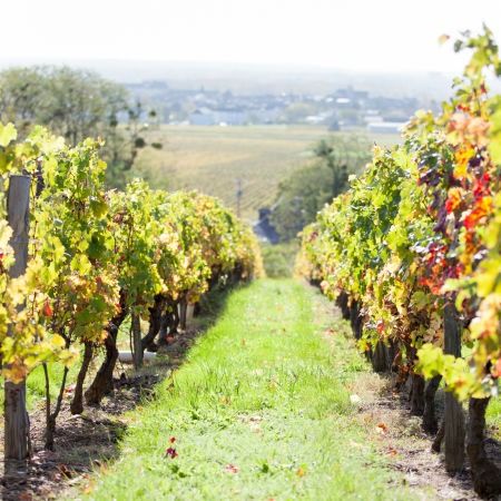 Domaine Marc Galbrun