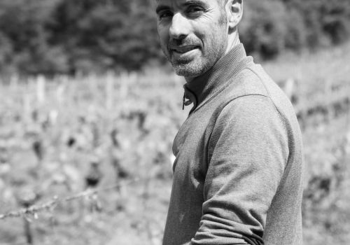 Domaine La Croix Pidault