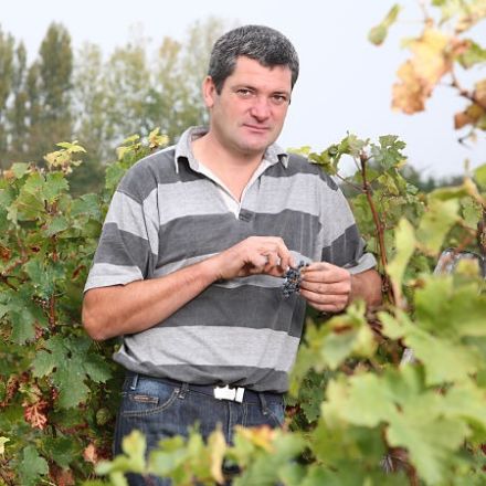 Domaine les Pressoirs