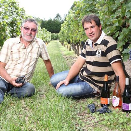 Domaine Arnaud Houx