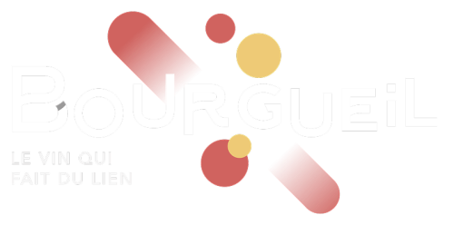 Logo Vins de bourgueil