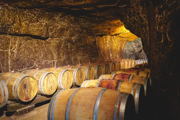 Fûts de chêne dans une cave de Bourgueil