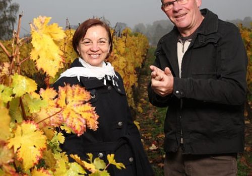 Domaine des Vienais