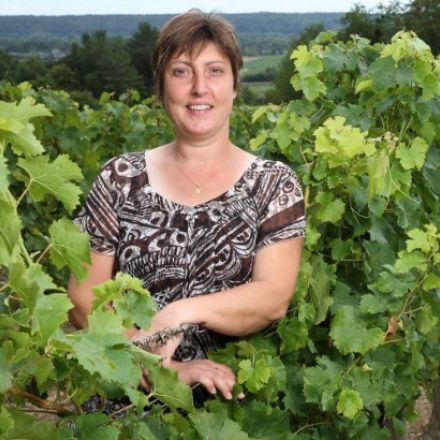 Domaine Nathalie Omasson