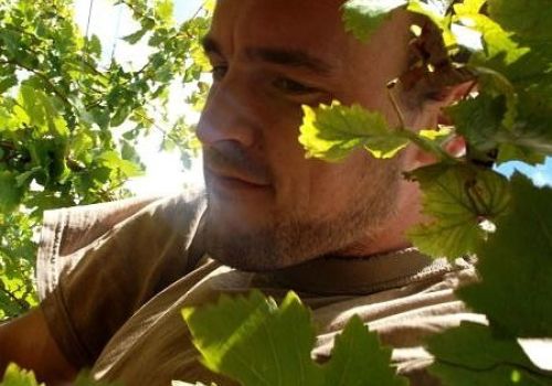 Domaine Pierre Borel