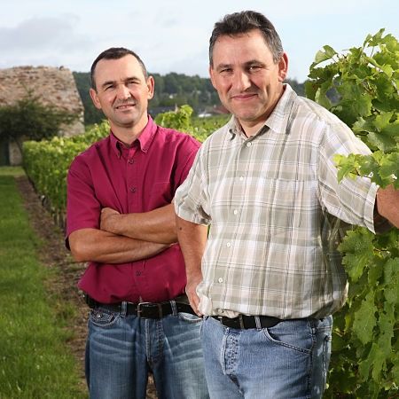 Vignoble de la Roseraie