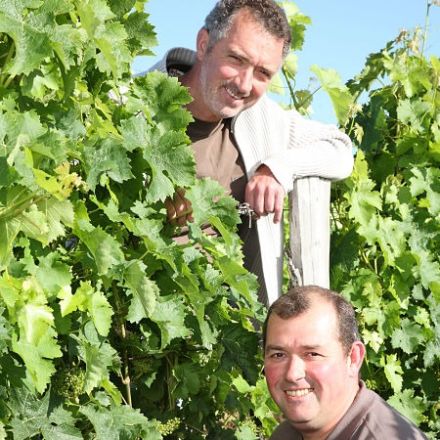 Domaine les Pins