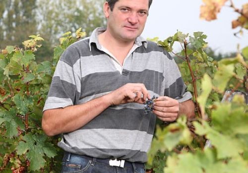 Domaine les Pressoirs