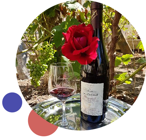 Maisons des vins de Bourgueil 