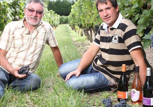 Domaine Arnaud Houx