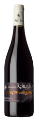 Les Mots Vilains 2024 – Domaine du Roillus – Anthony Houx