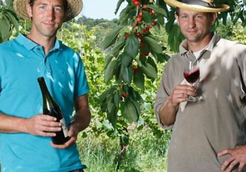 Domaine du Mortier