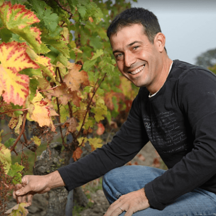 Domaine de la Grioche