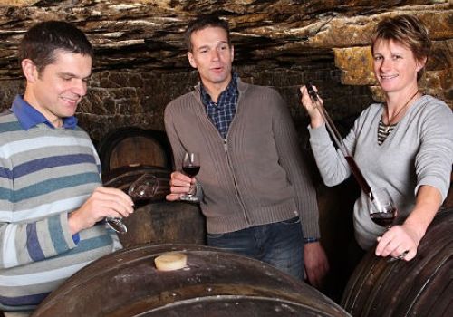 Domaine de la Cabernelle