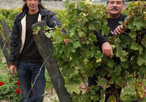 Domaine du Bel Air